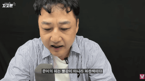 김수용 유튜브채널 스크린샷