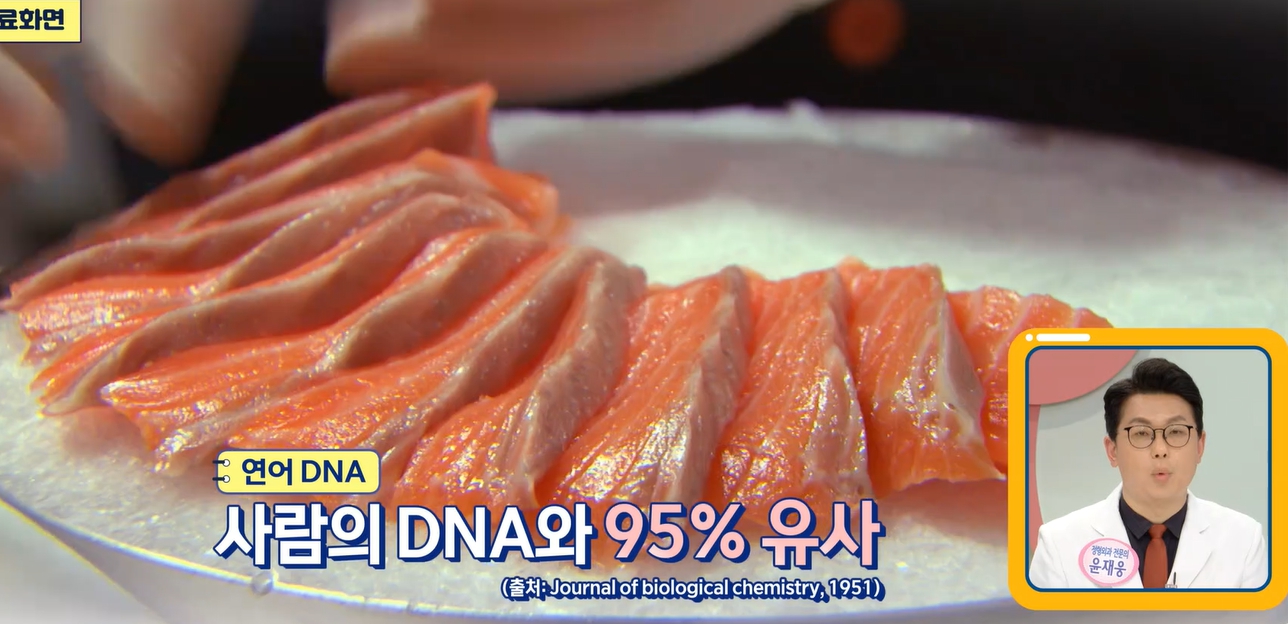 말 엘라스틴 먹는 법