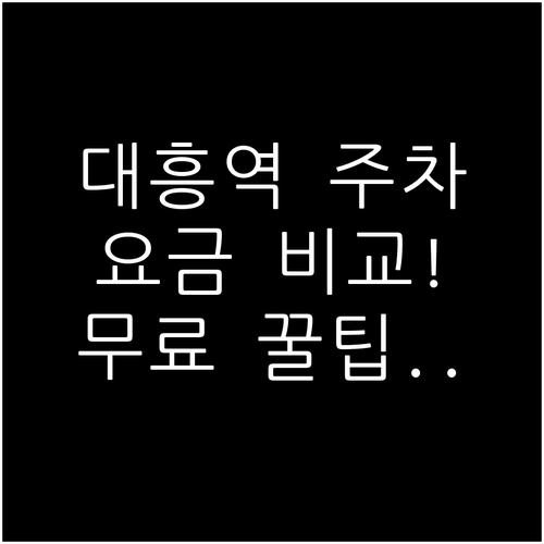 대흥역 공영 주차장 요금 비교 및 무..