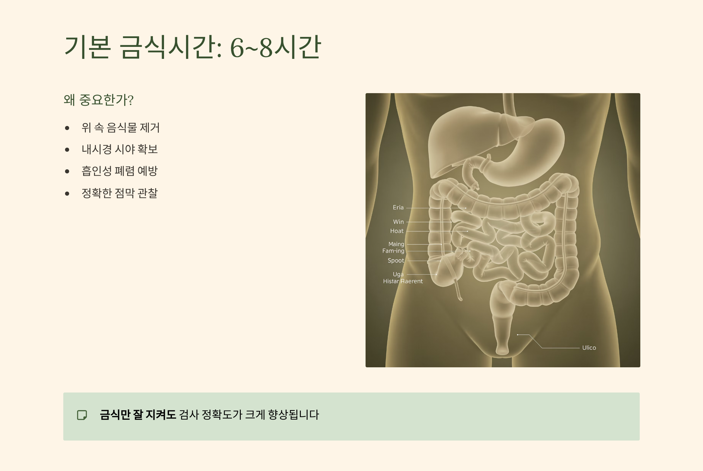 위내시경 금식시간 6~8시간
