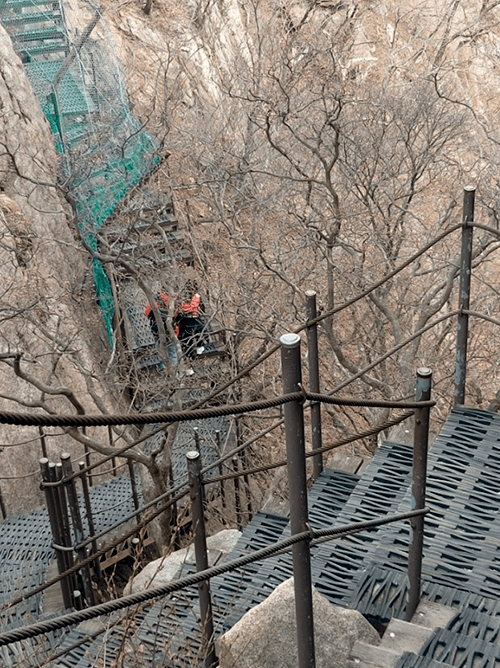 신선대14