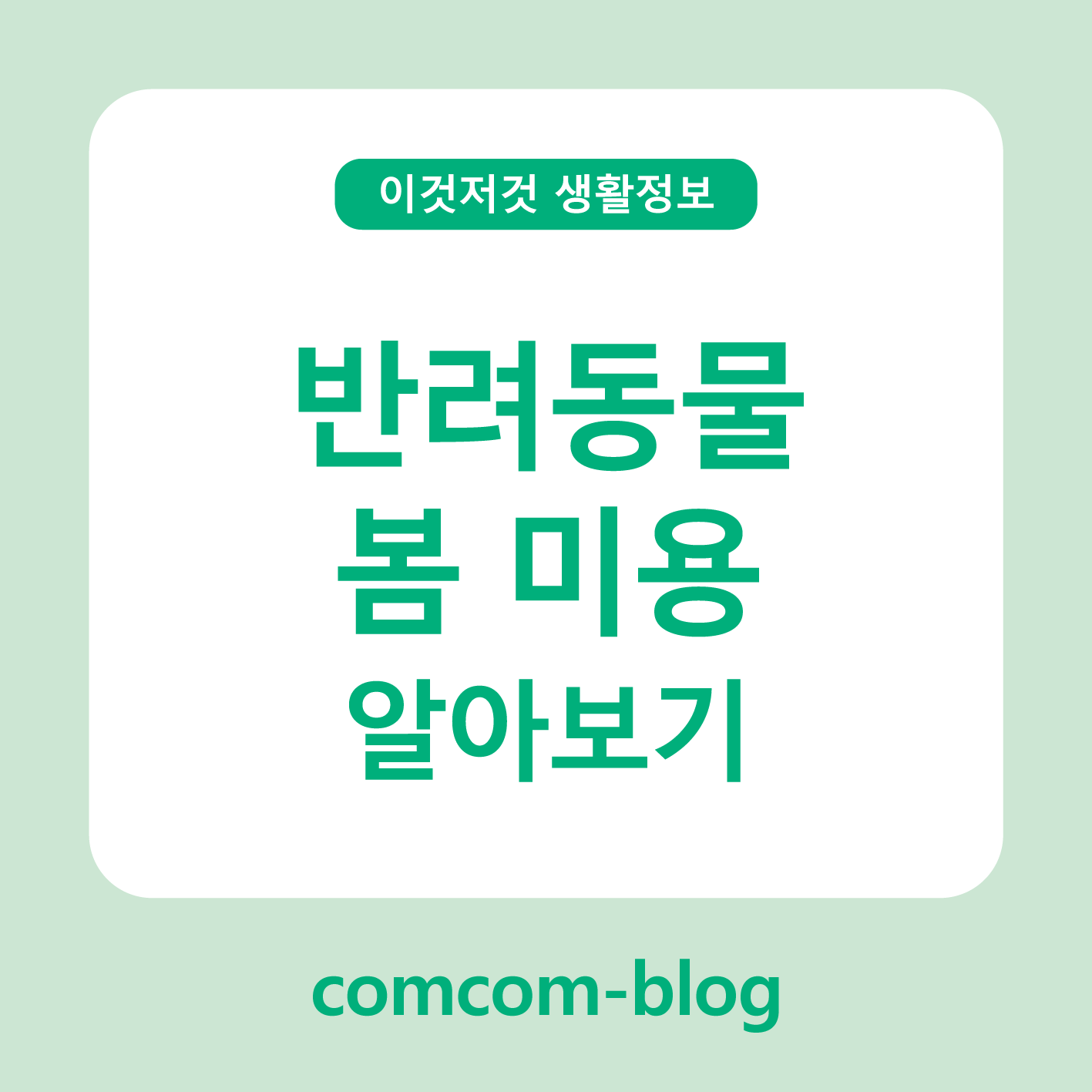 봄철 털 관리부터 피부 케어까지, 반려동물 미용 가이드