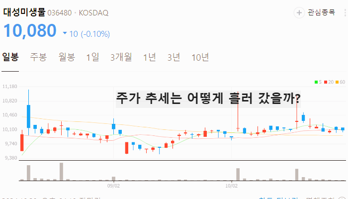 구제역 관련주 백신 대장주 테마주 TOP5