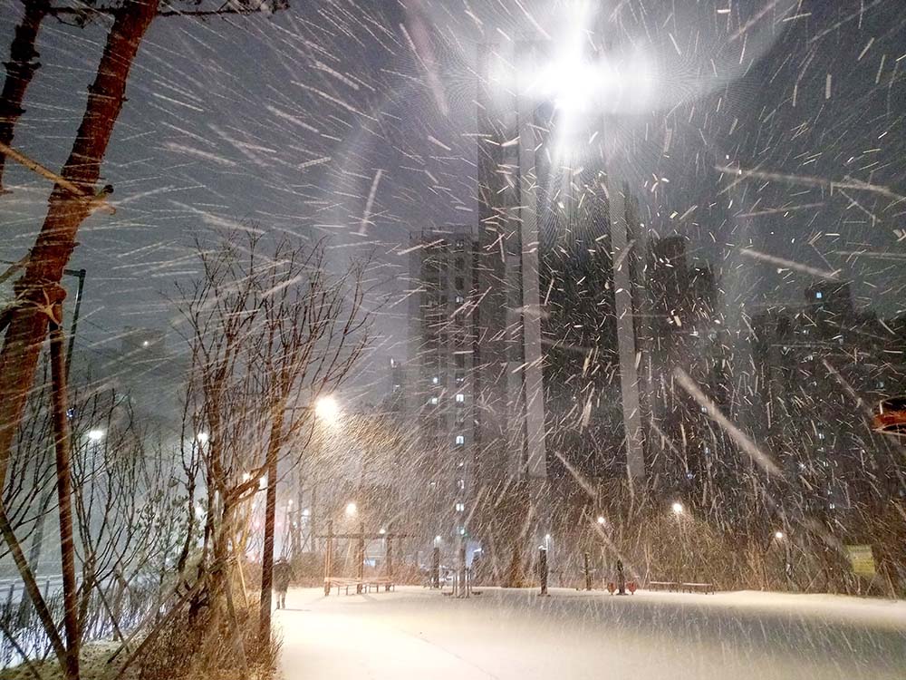 이마트24 1월 걷기챌린지