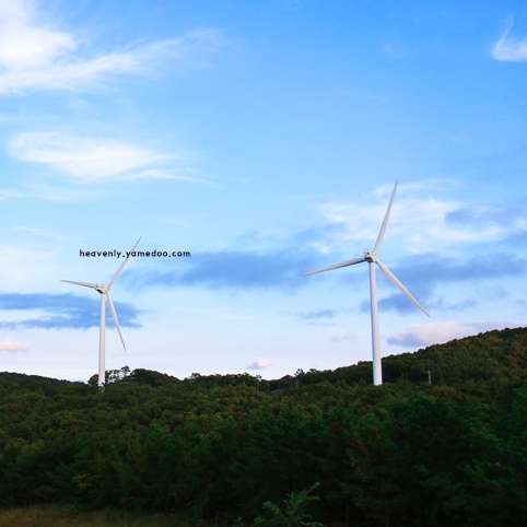 6월 여행지 추천