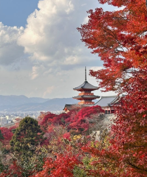 가을 비슬산 2025 단풍 절정 실시간 확인! 꼭 가봐야 할 포토존 + 초보자 코스 추천