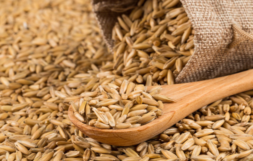 갱년기좋은음식