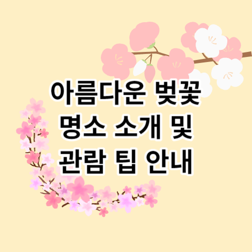 아름다운-벚꽃-명소-소개-및-관람-팁-안내