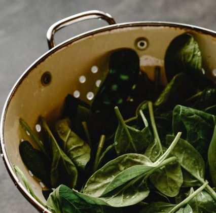 머리카락에 좋은 음식 10가지