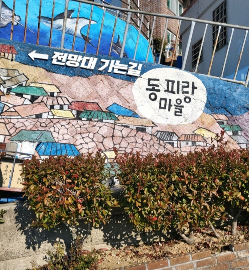 경상남도 통영 동피랑 마을 여행하기(전망대,벽화골목,서피랑 공원)