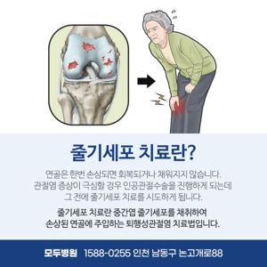 인천 관절 병원