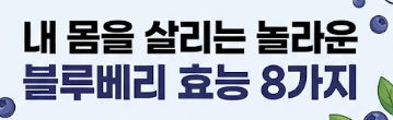 블루베리 효능