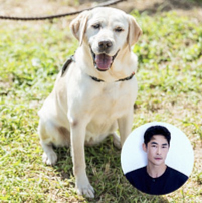 드라마 개소리 출연진 강아지 소피 (목소리 연기는 배정남)