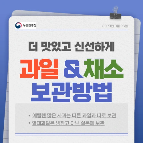 과일 및 야채(채소) 보관법 - 일반과일(사과, 배, 포도, 단감, 복숭아), 열대과일(바나나, 망고, 키위), 채소류(딸기, 참외, 멜론, 오이, 가지, 무, 마을, 양파, 당근, 감자, 배추, 상추, 시금치)