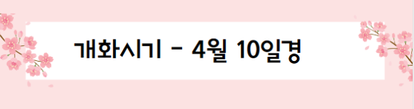 봄꽃 여행지