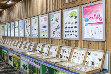 곤충테마관