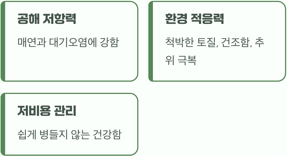 도시의 악조건을 견디는 강인한 생명력