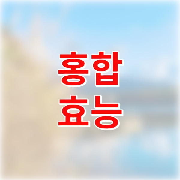 홍합 효능