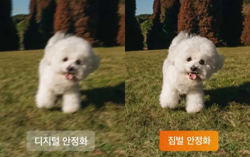 오즈모 포켓3 안정화