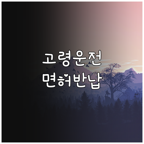 2025 울산 고령운전자 면허 자진 ..