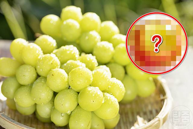 샤인머스켓 효능,라스베라톨 효능,전립선에 좋은음식,팁줌