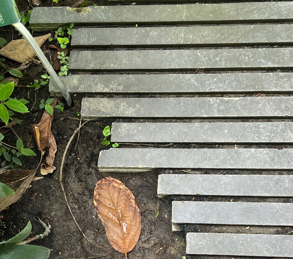 파리 식물원 : Jardin des Plantes