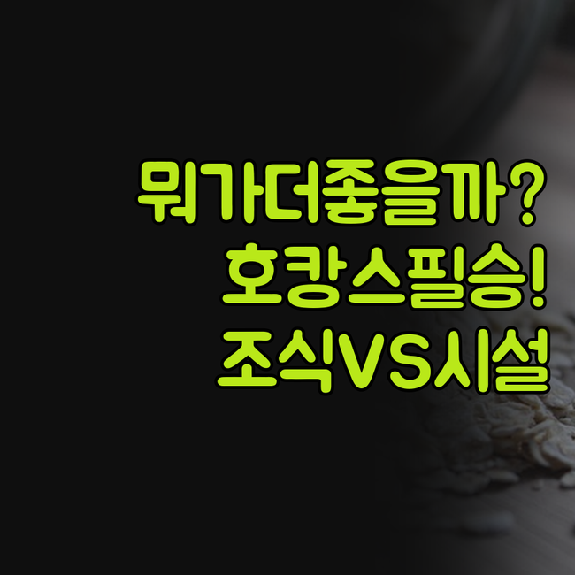 홀리데이인 익스프레스 콜카타 무료조식..