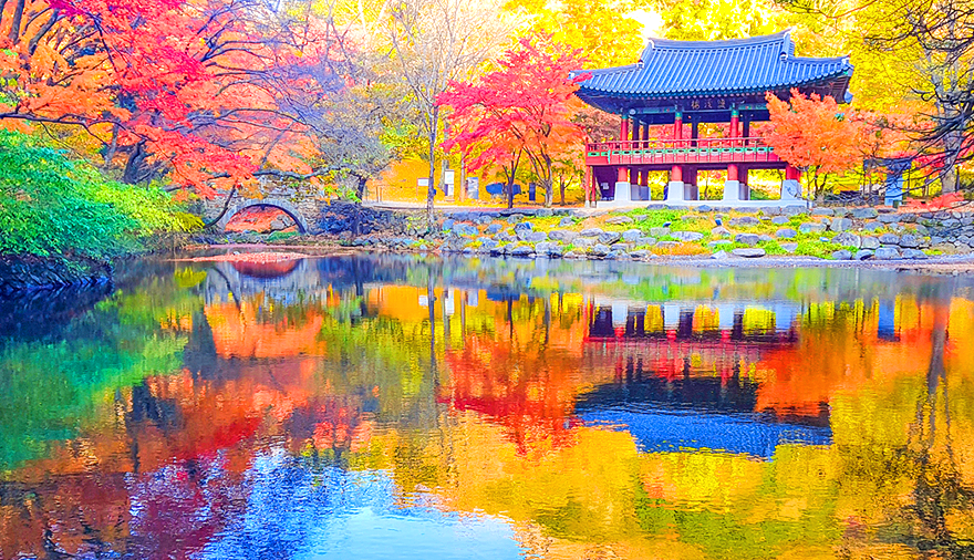 단풍