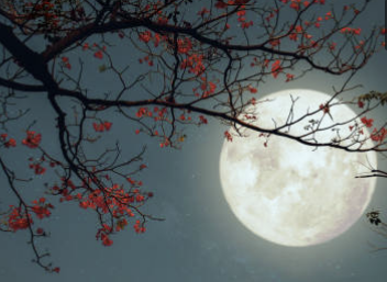 보름 몇일 계산, 정월대보름 소개