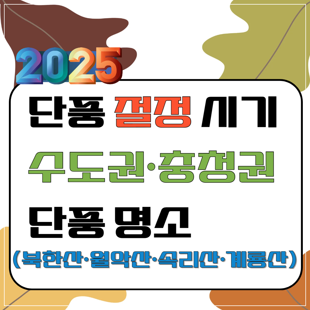 2025년 단풍 절정 시기 – 수도권·충청권 단풍 명소(북한산·월악산·속리산·계룡산) 이미지