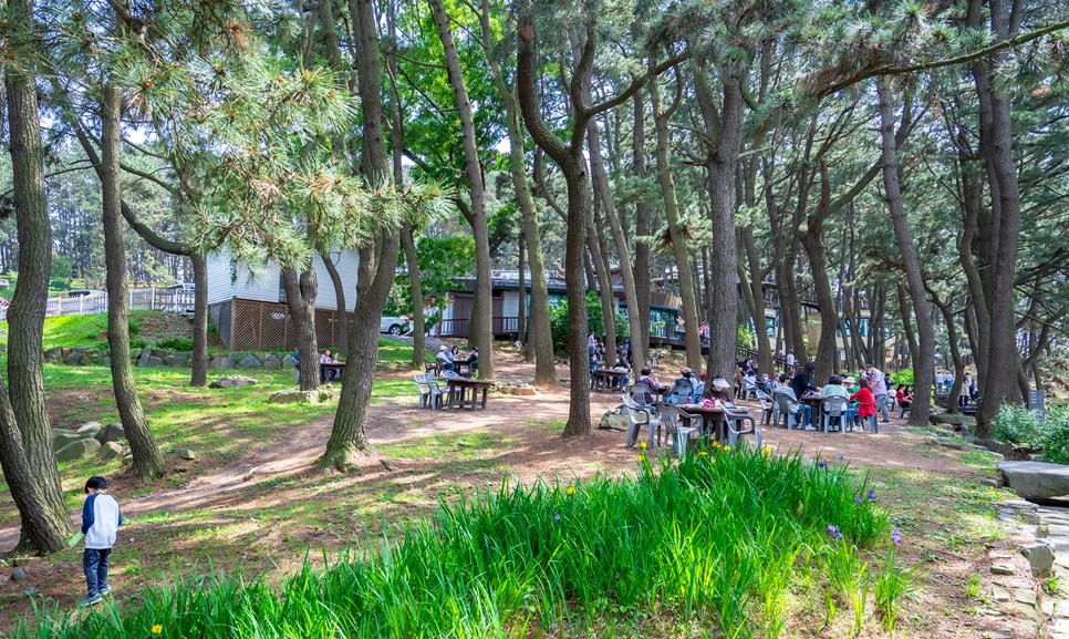 보령 가볼만한곳 (죽도 상화원)