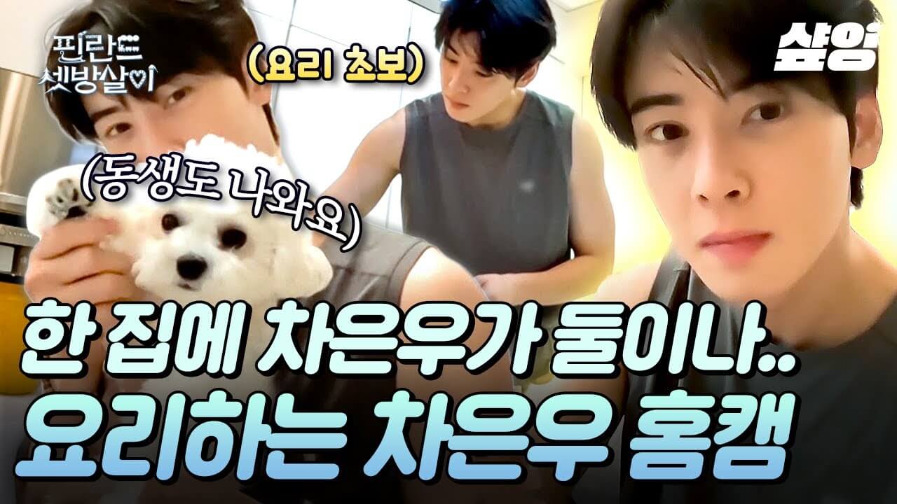 핀란드 셋방살이