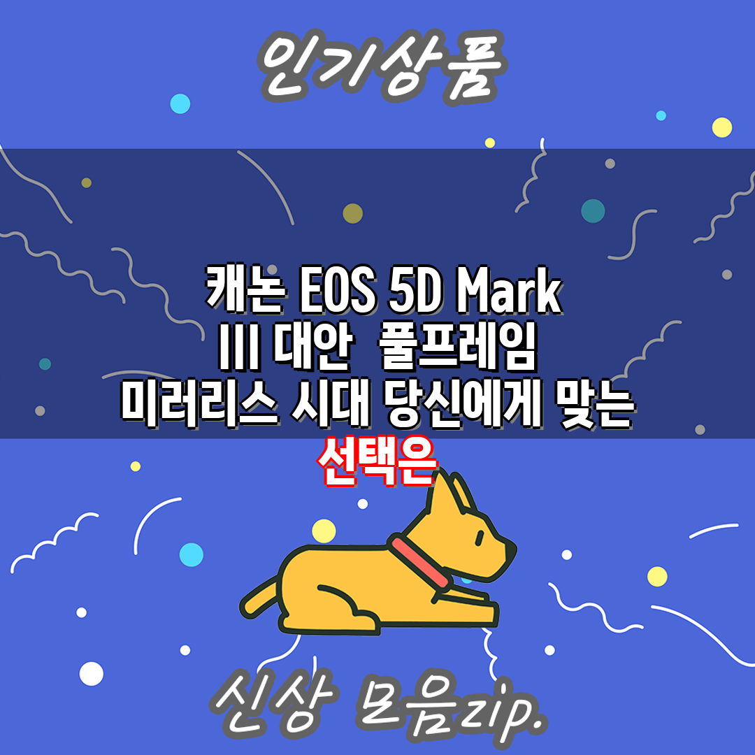  캐논 EOS 5D Mark III 대안  풀프레임 미