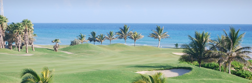 하와이골프장 사진