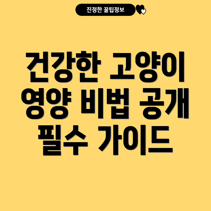 고양이 건강 관리