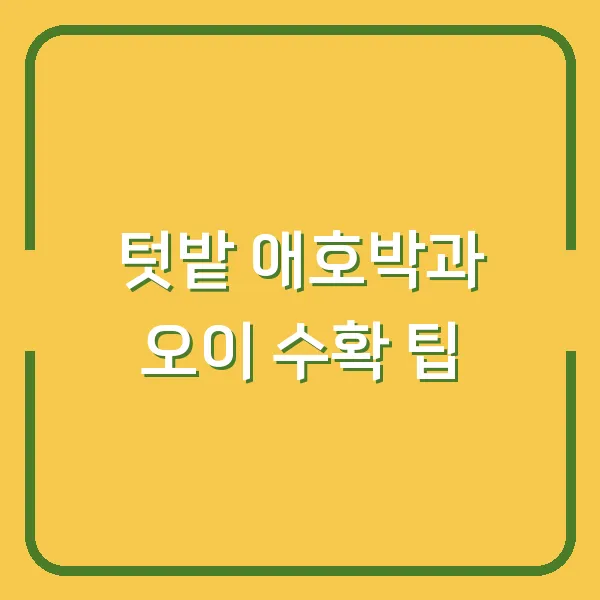 텃밭 애호박과 오이 수확 팁