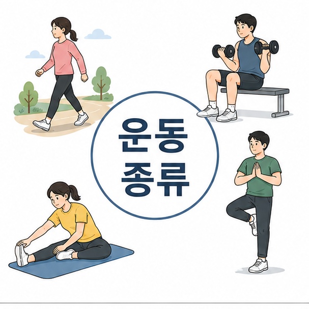 걷기와 근력운동, 스트레칭, 균형운동을 하는 사람들을 이용해 대표적인 운동 종류를 소개하는 그림