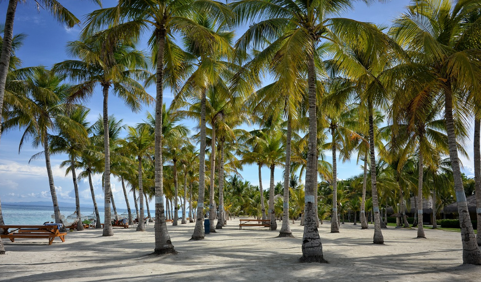 필리핀 보홀 사진