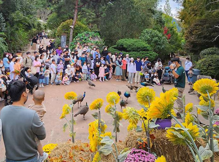 대구 네이처파크