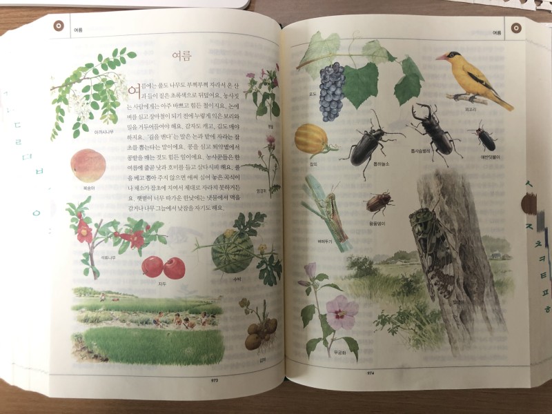 초등 스스로 공부법