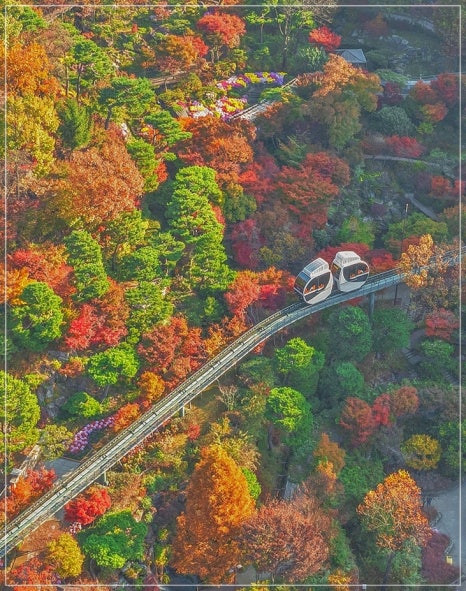 화담숲-예약-방법-2025년-최신-입장료-완벽-가이드