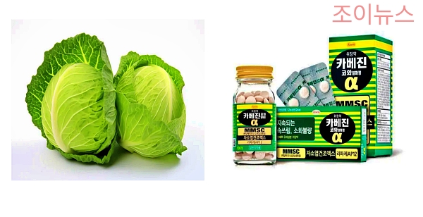 생약 성분으로 위 기능 개선: 카베진