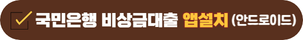 국민은행 비상금대출