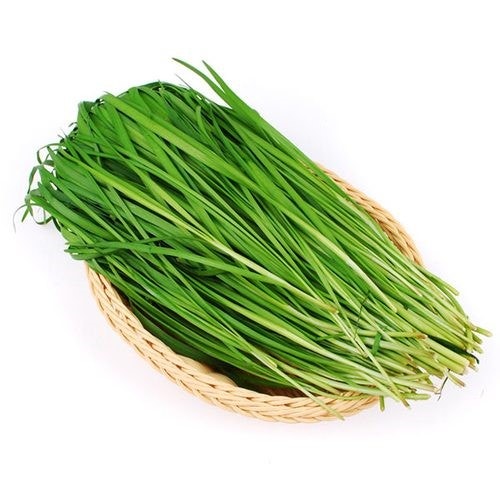 봄철 부추 장점