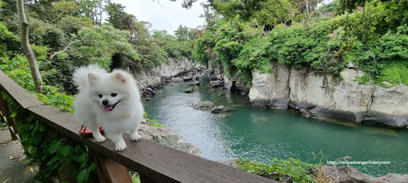 21년 5월의 용연계곡