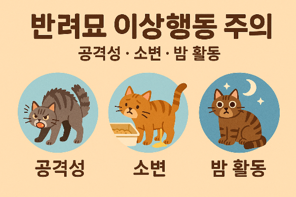 반려묘의 이상 행동 주의