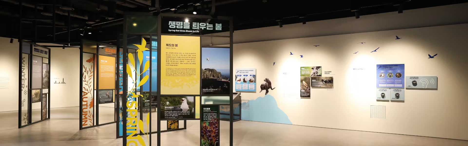 독도는 우리땅! 독도체험관