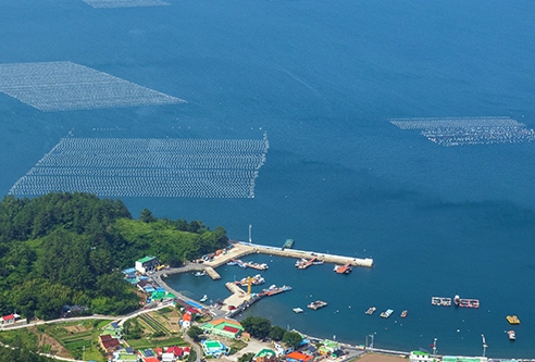 어업활동 중 발생하는 재해와 사고