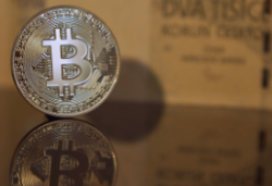 역대 미국 대선 발표 비트코인 영향 2024 예상 반응