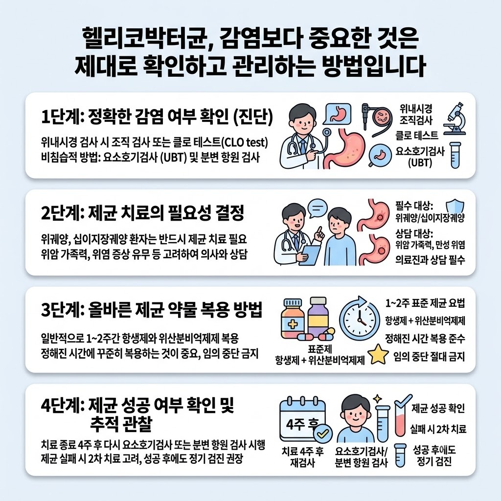 헬리코박터균, 감염보다 중요한 것은 제대로 확인하고 관리하는 방법입니다